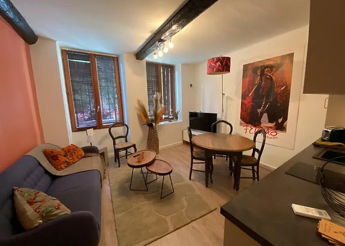 T2 Douillet Renove Hyper Centre 아파트 *