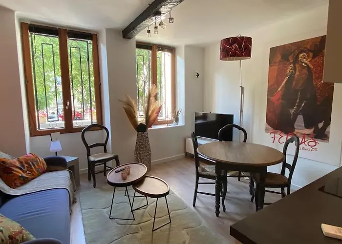 T2 Douillet Renove Hyper Centre 아파트 *